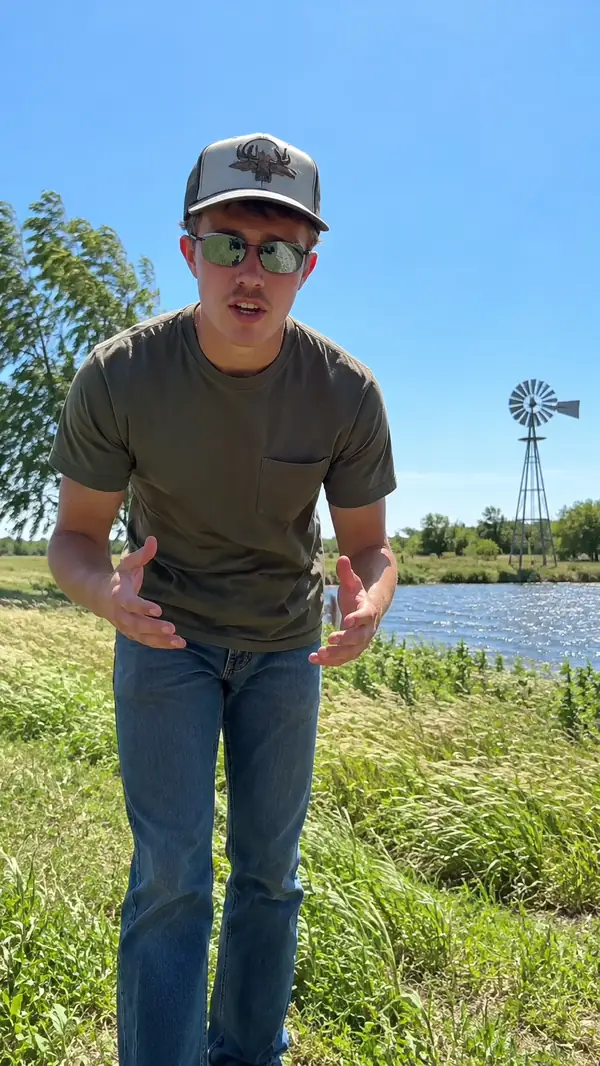 Outdoor weather presenter standing in grass, portrait video still